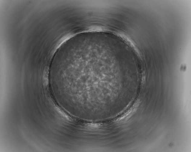 X0000099411409200805161009