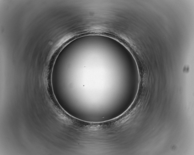 X0000099411410200805161009