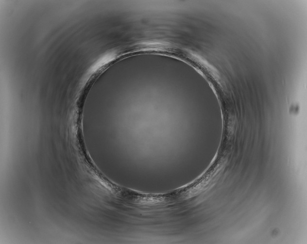 X0000099411411200805161009