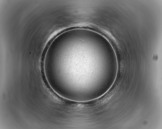 X0000099411412200805161009