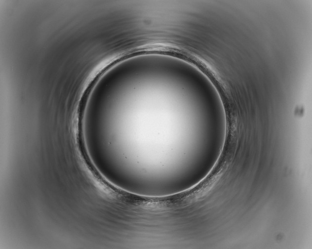 X0000099411418200805161009
