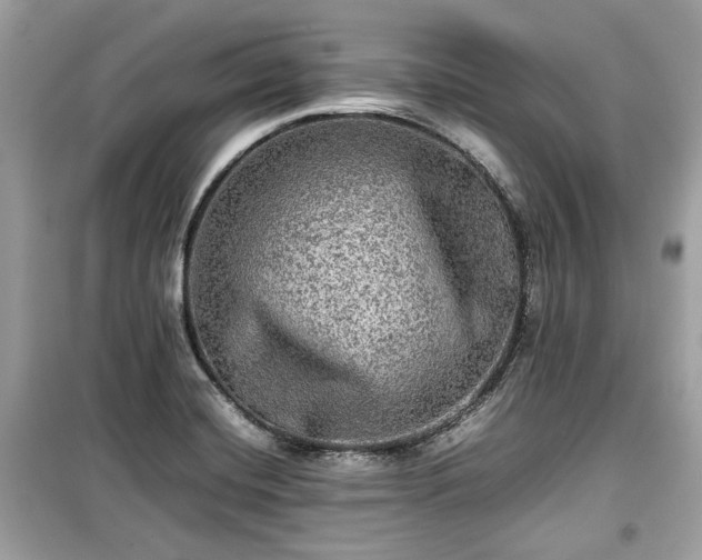X0000099411420200805161009