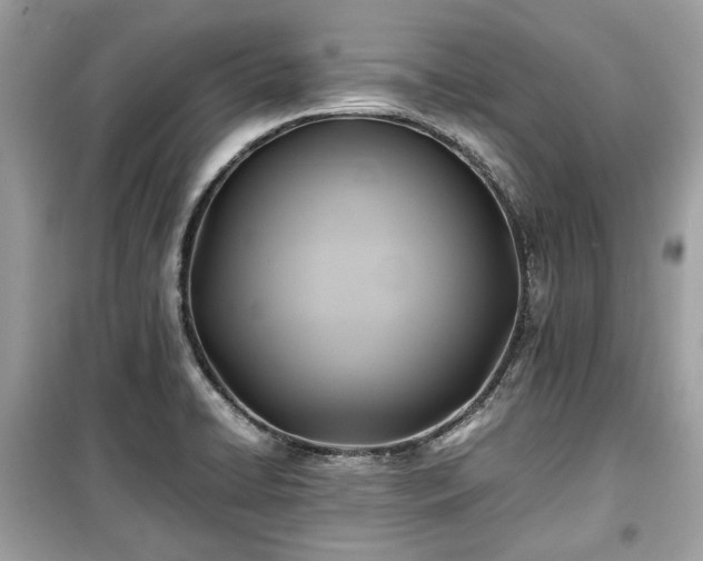 X0000099411422200805161009