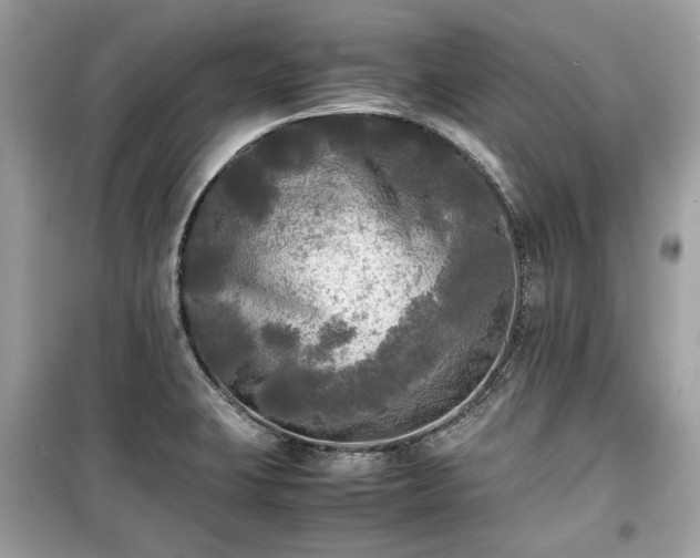 X0000099411423200805161009