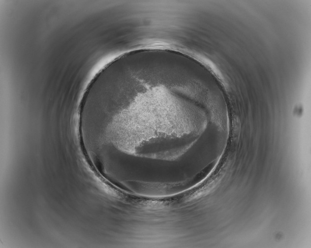 X0000099411424200805161009