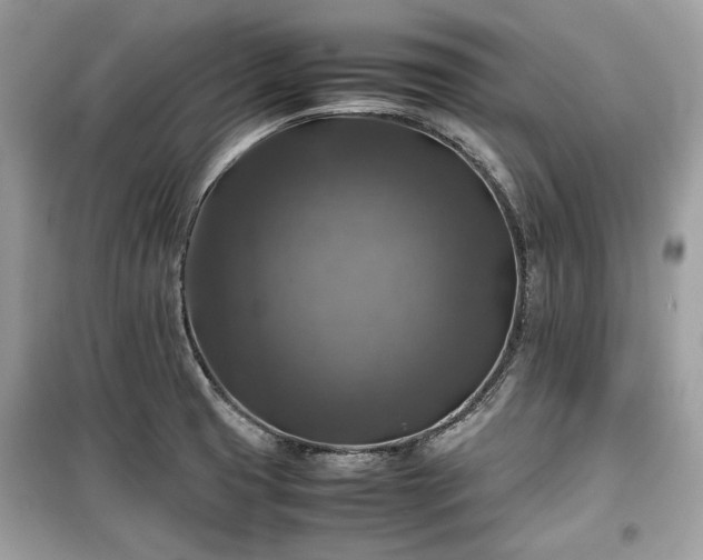 X0000099411425200805161010