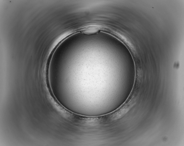 X0000099411426200805161010