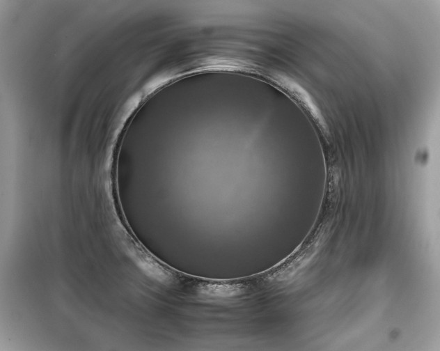 X0000099411427200805161010