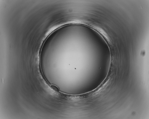 X0000099411428200805161010