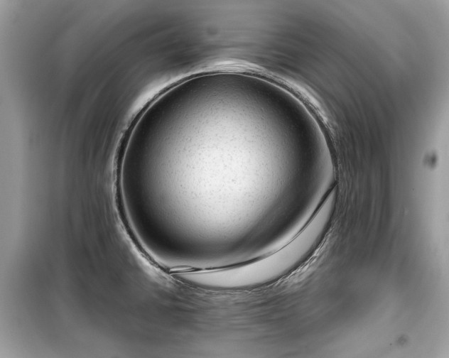 X0000099411430200805161010