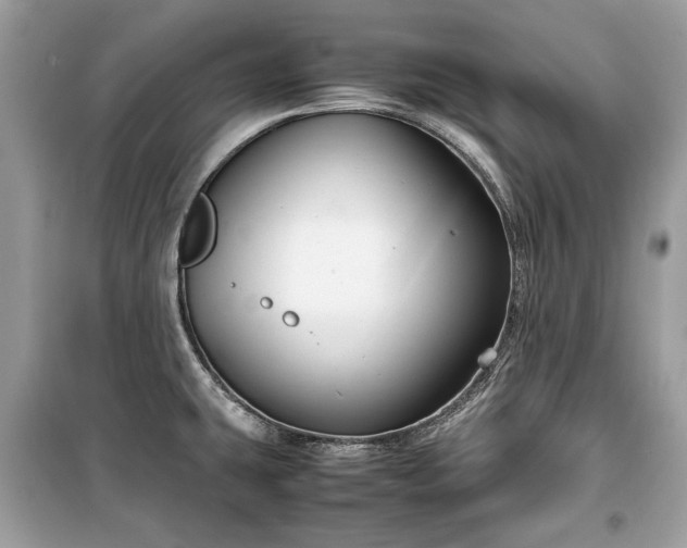 X0000099411431200805161010