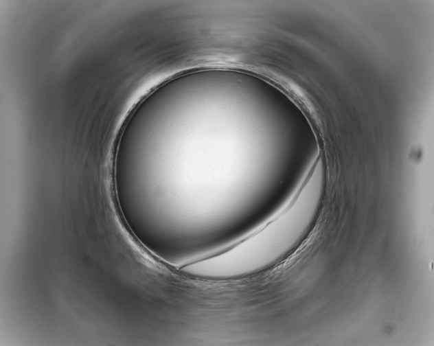 X0000099411432200805161010