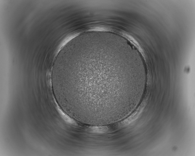 X0000099411433200805161010