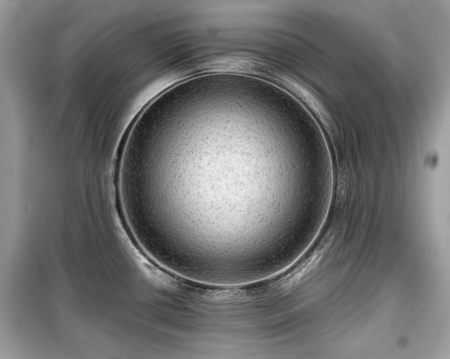 X0000099411434200805161010