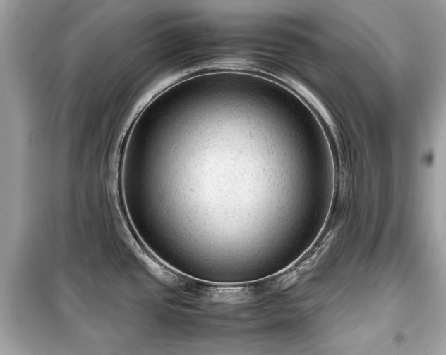 X0000099411437200805161010