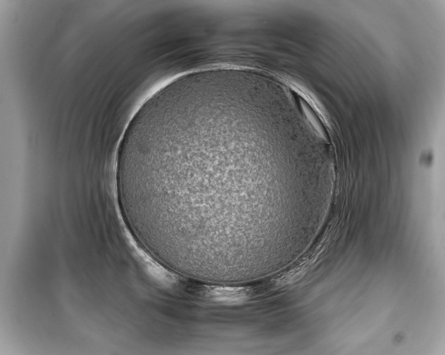 X0000099411439200805161010