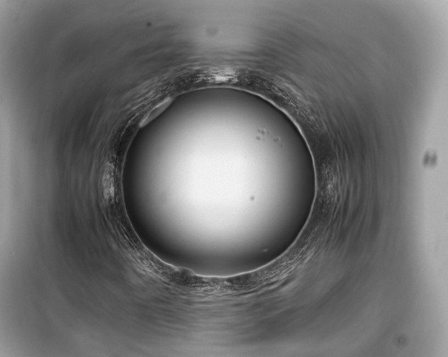 X0000099411442200805161009