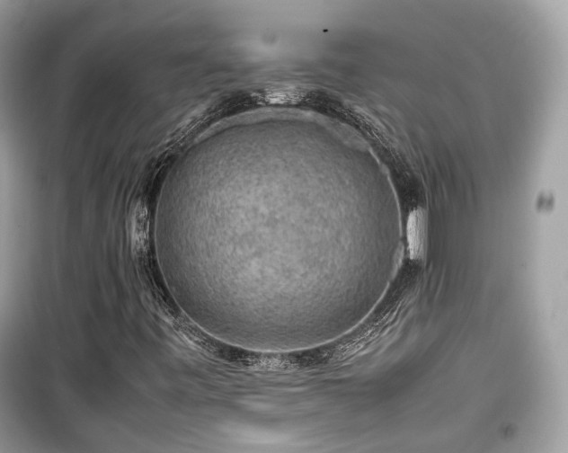 X0000099411443200805161009