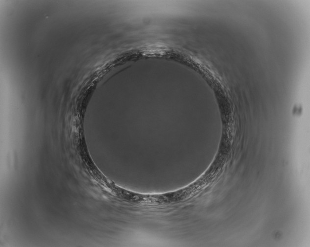 X0000099411445200805161009