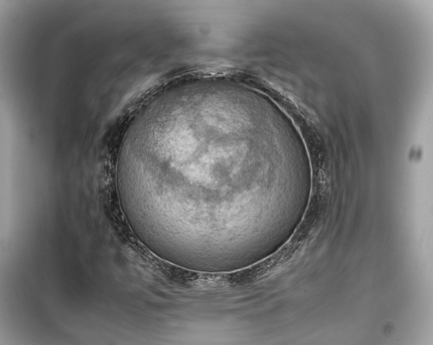 X0000099411447200805161009