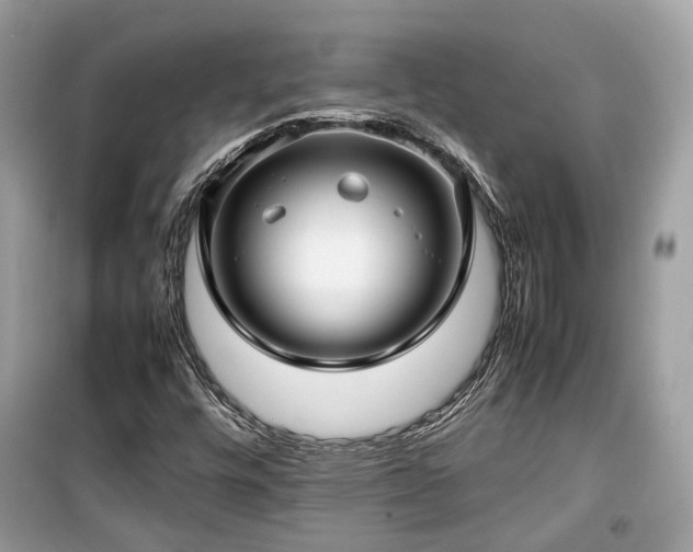 X0000099411448200805161009