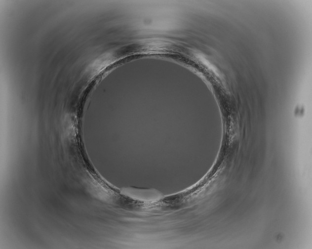 X0000099411449200805161009