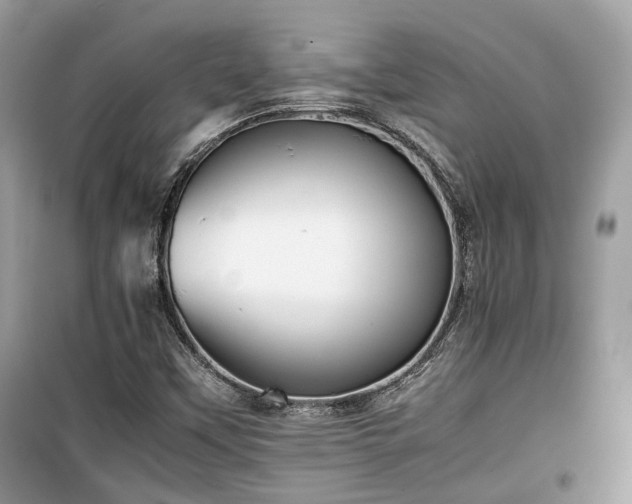 X0000099411451200805161009