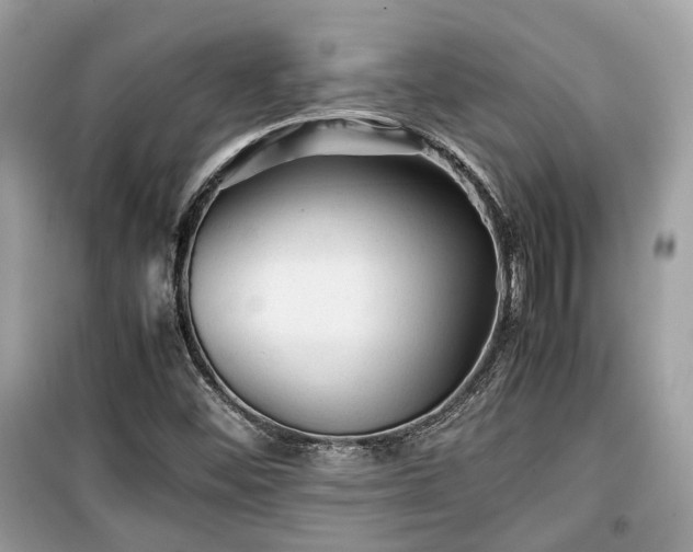 X0000099411452200805161009