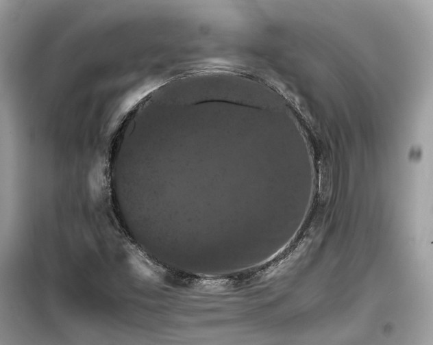 X0000099411453200805161009