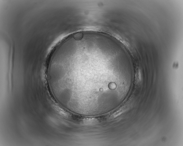 X0000099411454200805161009