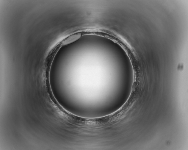 X0000099411456200805161009