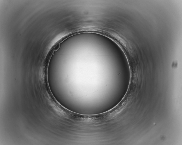 X0000099411458200805161009