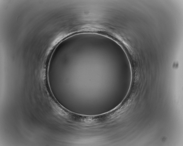 X0000099411459200805161009