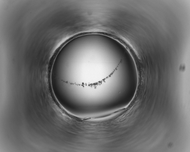 X0000099411460200805161009