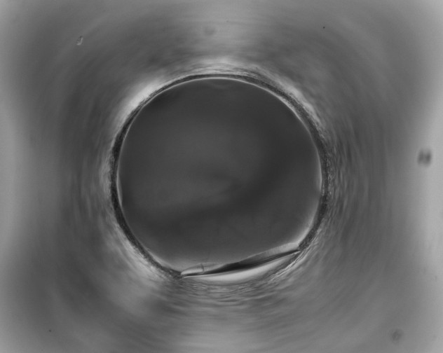 X0000099411463200805161009