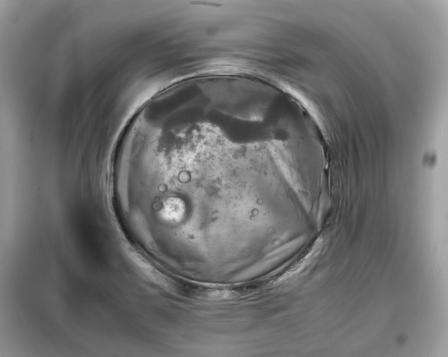 X0000099411467200805161009