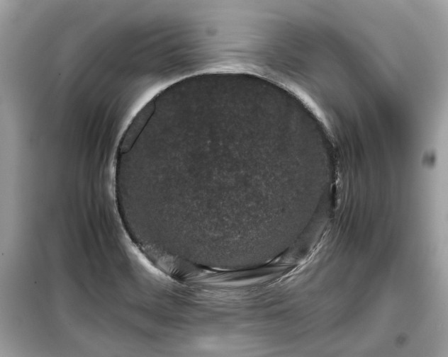 X0000099411468200805161009
