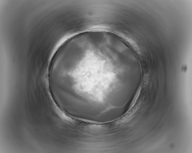 X0000099411470200805161009