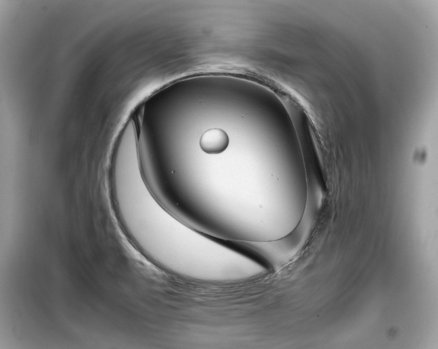 X0000099411471200805161009