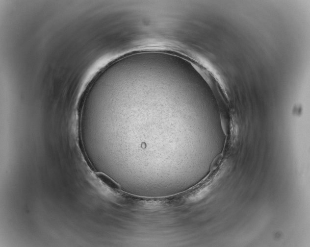 X0000099411472200805161009