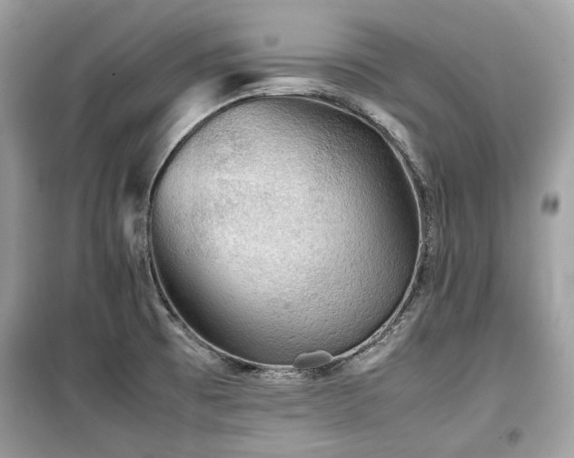 X0000099411473200805161009