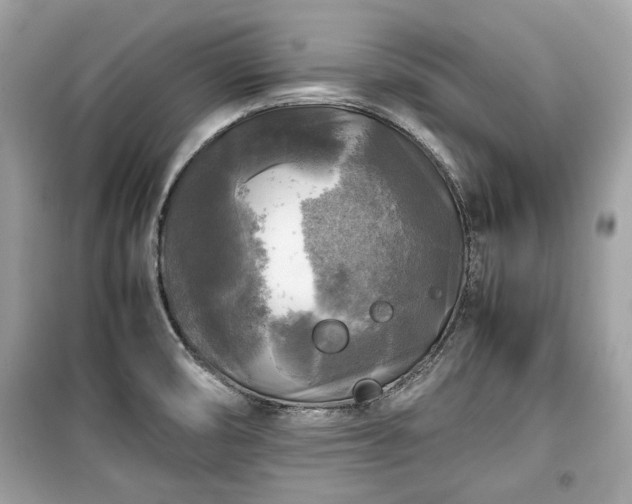 X0000099411474200805161009