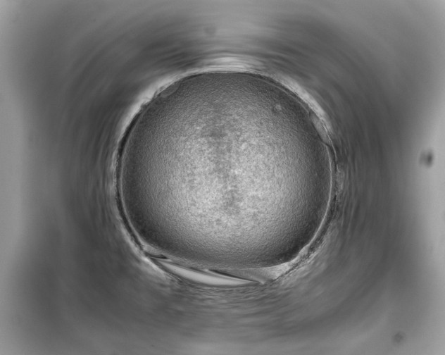 X0000099411477200805161008