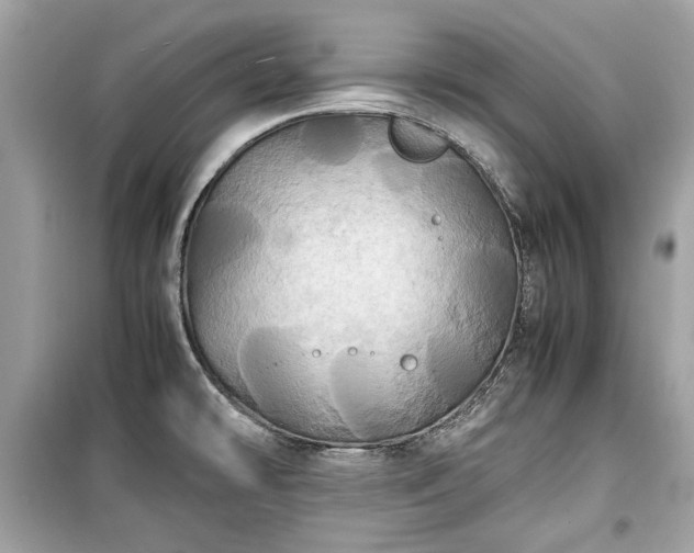 X0000099411478200805161008