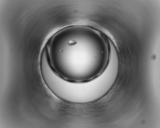 X0000099411480200805161008