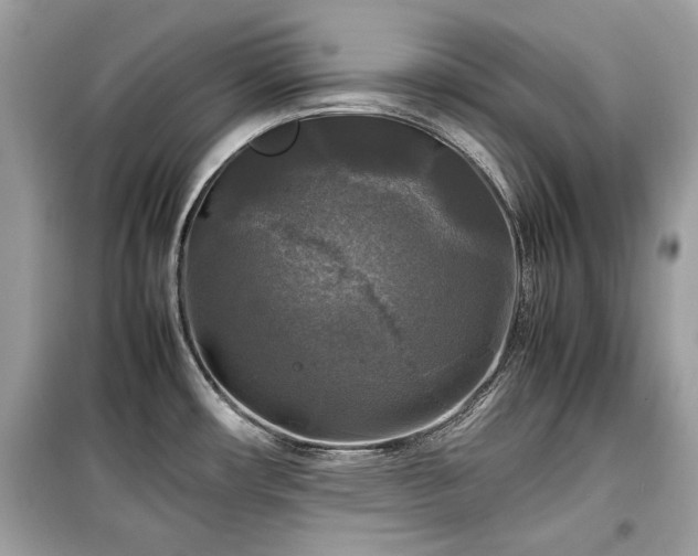 X0000099411482200805161008
