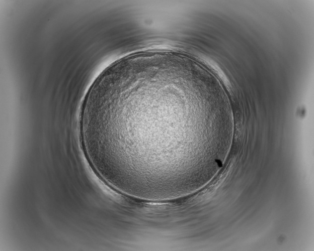 X0000099411483200805161008
