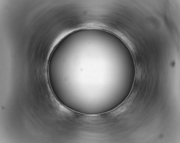 X0000099411486200805161008