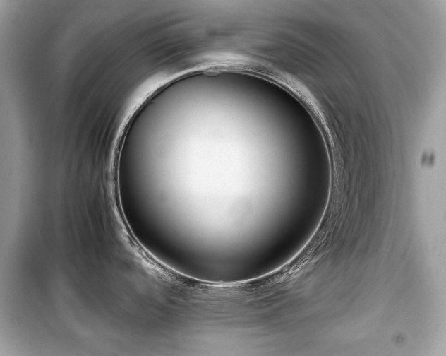 X0000099411488200805161008