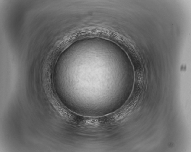 X0000099411489200805161007